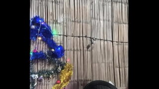 I’M STARTING THE HOT CHRISTMAS PARTY!! GET READY TO SEE ME FUCK LIKE A SLUT. THIS IS A LITTLE PREVIEW OF WHAT YOU’LL SEE. MY BUTTOCKS ARE READY TO FUCK HARD