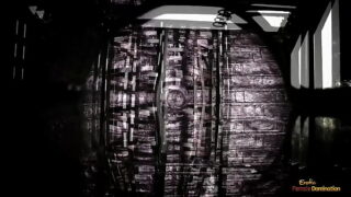 Busty brunette girl enjoys sucking a cock before getting her pussy smashed